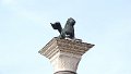 Venedig (10)